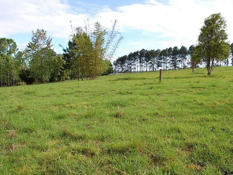 25 Borefield Rd, Bowraville NSW 2449