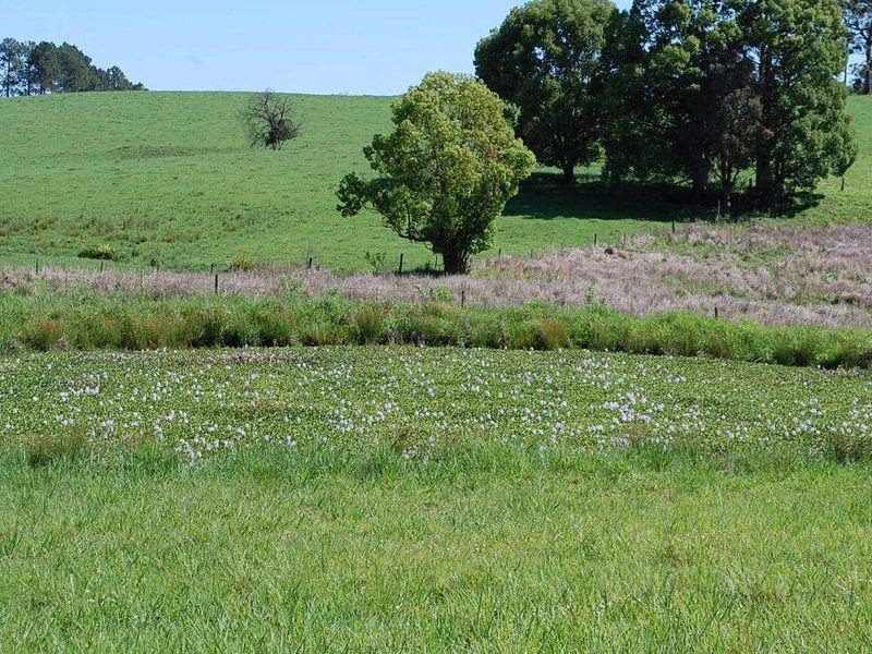 25 Borefield Rd, Bowraville NSW 2449