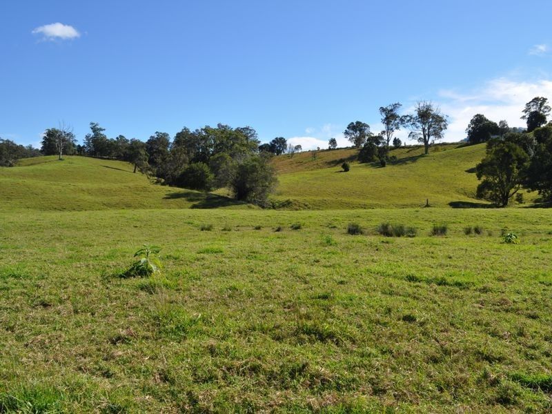 1319 North Arm Road, Bowraville NSW 2449