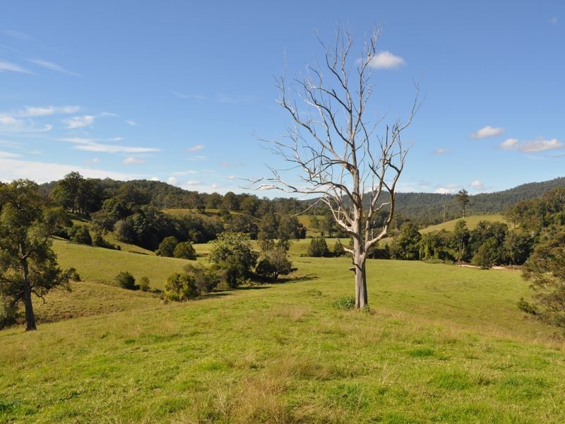 1319 North Arm Road, Bowraville NSW 2449