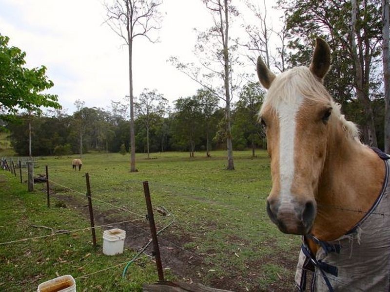 28 McAlpine Way, Boambee NSW 2450