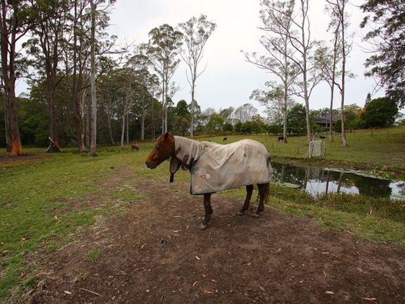 28 McAlpine Way, Boambee NSW 2450