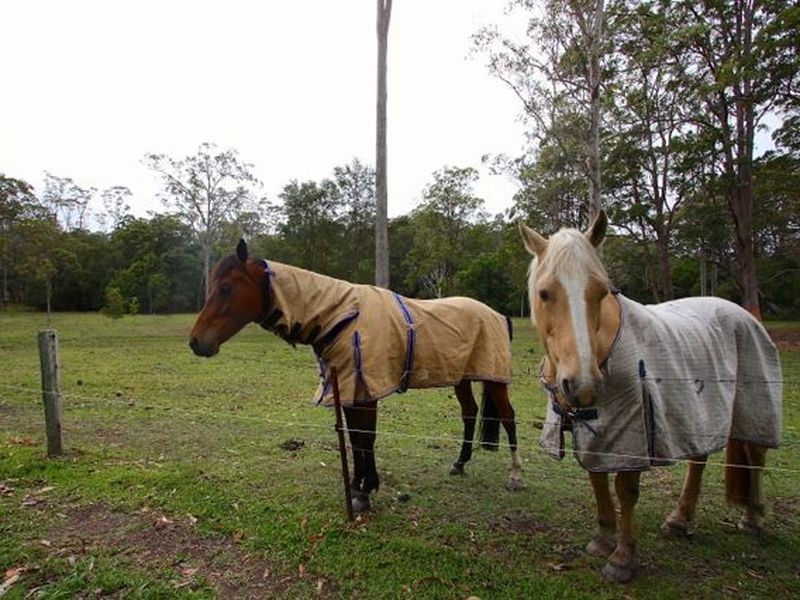 28 McAlpine Way, Boambee NSW 2450