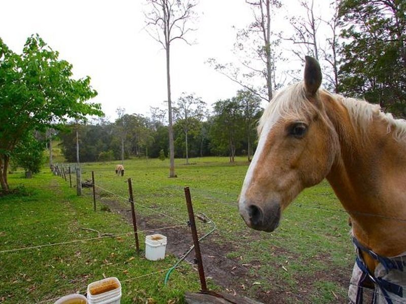 28 McAlpine Way, Boambee NSW 2450