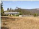 1698 Kangaroo Creek Road, Kangaroo Creek NSW 2460