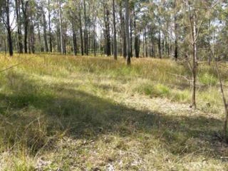1698 Kangaroo Creek Road, Kangaroo Creek NSW 2460