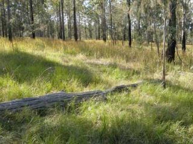 1698 Kangaroo Creek Road, Kangaroo Creek NSW 2460