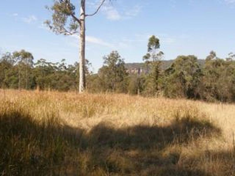 1698 Kangaroo Creek Road, Kangaroo Creek NSW 2460