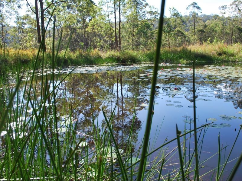 18 Boundary Road, Alumy Creek NSW 2460