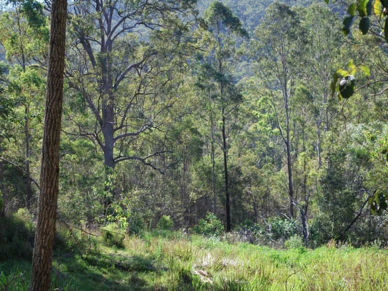 18 Boundary Road, Alumy Creek NSW 2460