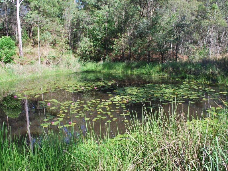 18 Boundary Road, Alumy Creek NSW 2460