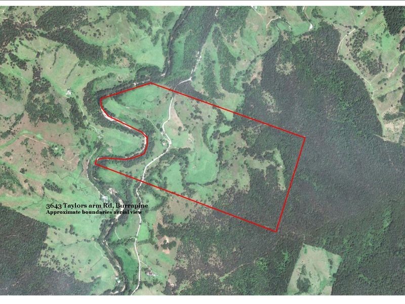 3643 Taylors Arm Rd, Burrapine NSW 2447