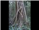 Lot 4 Upper Congarinni  Road, Congarinni NSW 2447