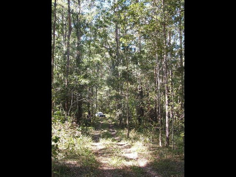 Lot 4 Upper Congarinni  Road, Congarinni NSW 2447