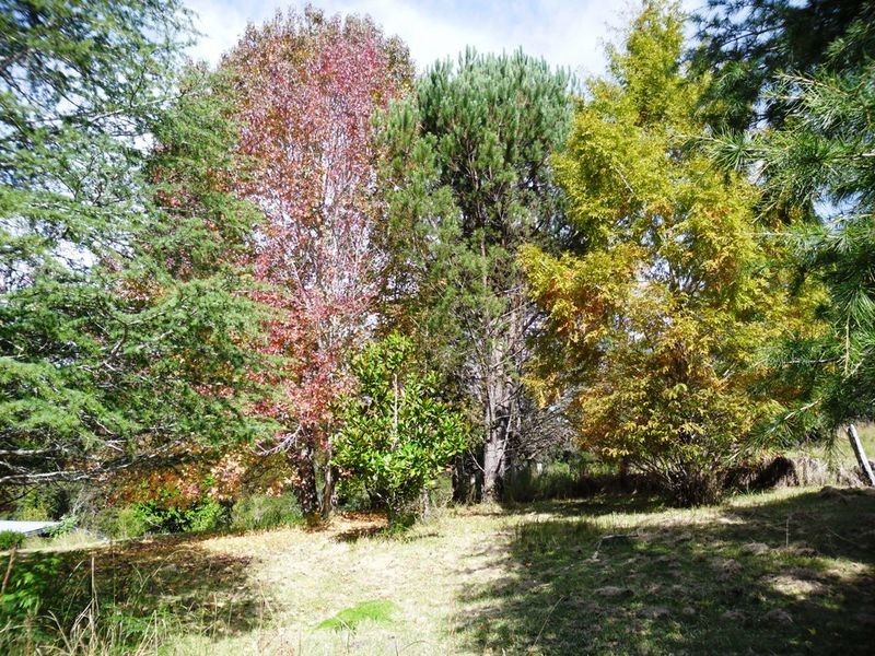 886 Camp Creek Road, Lowanna NSW 2450