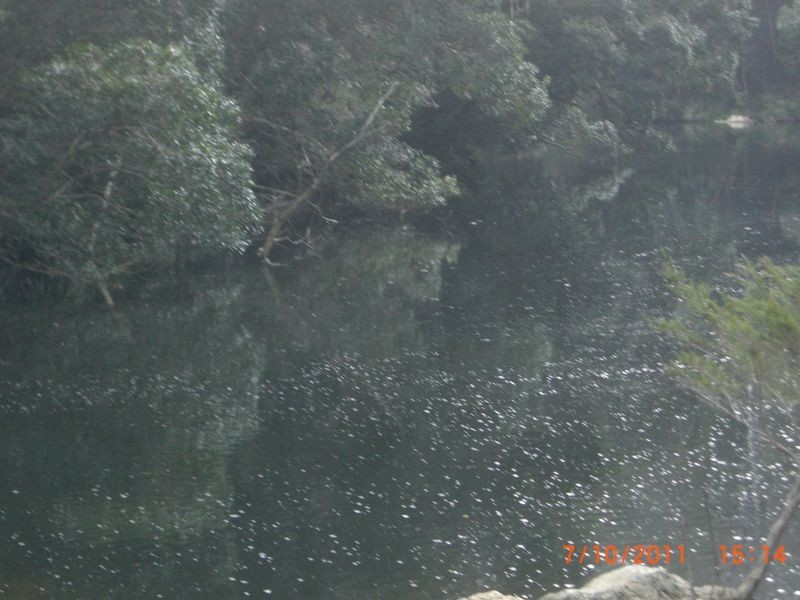 886 Camp Creek Road, Lowanna NSW 2450