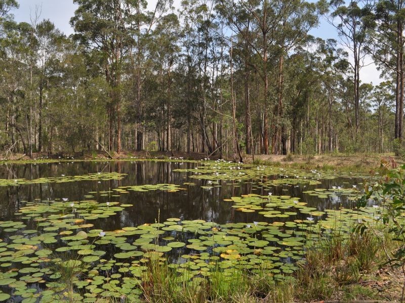 80 East Lanitza Road, Lanitza NSW 2460