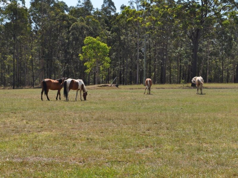 80 East Lanitza Road, Lanitza NSW 2460