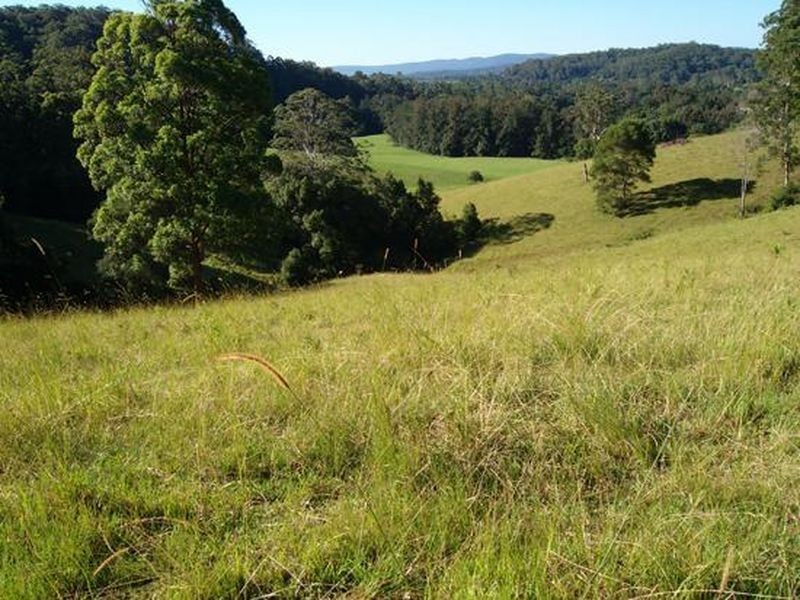 86 Hartleys Road, Karangi NSW 2450