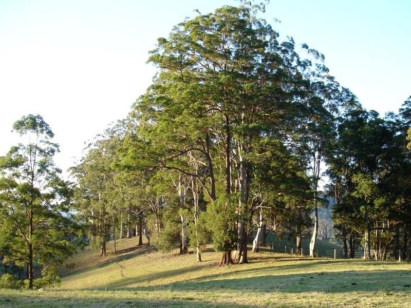 86 Hartleys Road, Karangi NSW 2450