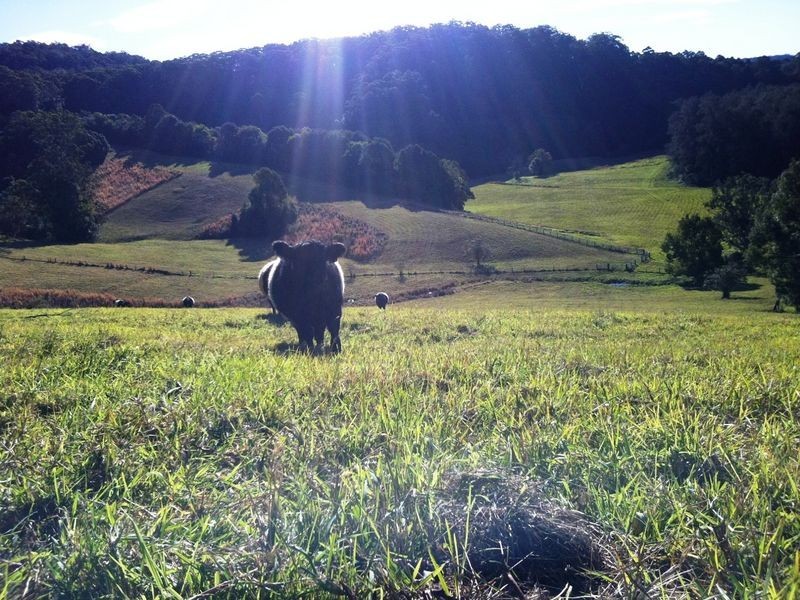 86 Hartleys Road, Karangi NSW 2450