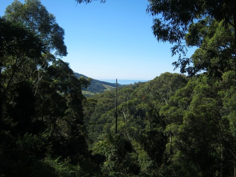 434a North Island Loop Road, Coffs Harbour NSW 2450