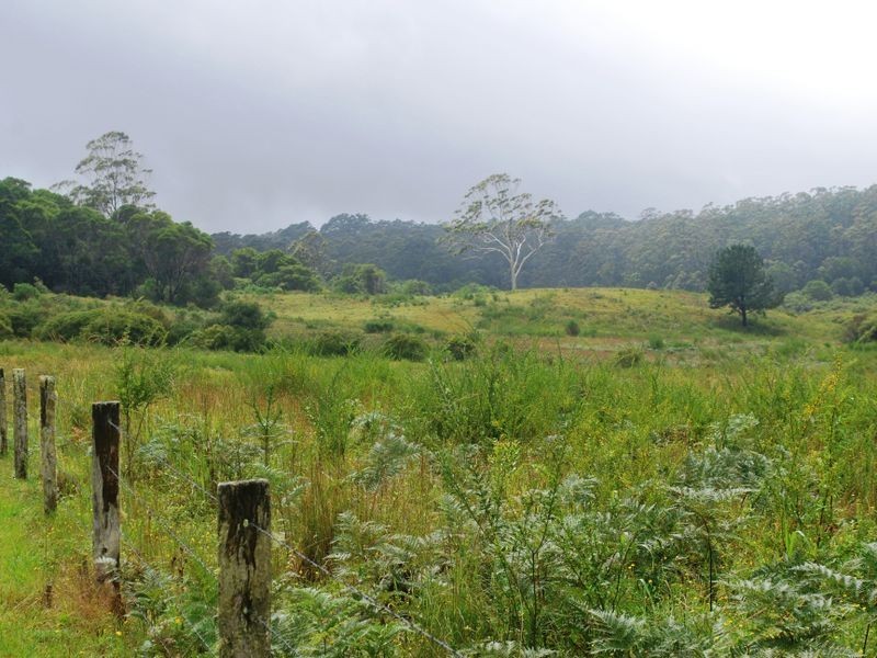 Lot 442/36 Gundarene Road, Lowanna NSW 2450