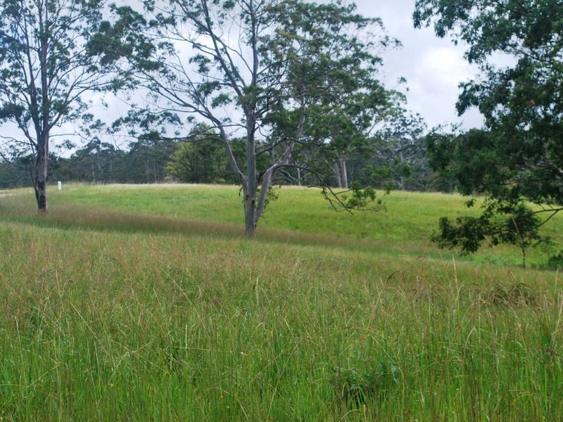 Lot 442/36 Gundarene Road, Lowanna NSW 2450