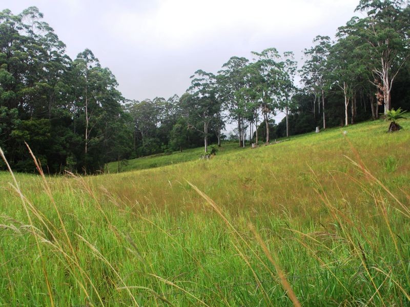 Lot 442/36 Gundarene Road, Lowanna NSW 2450