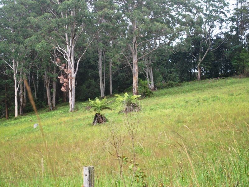 Lot 442/36 Gundarene Road, Lowanna NSW 2450