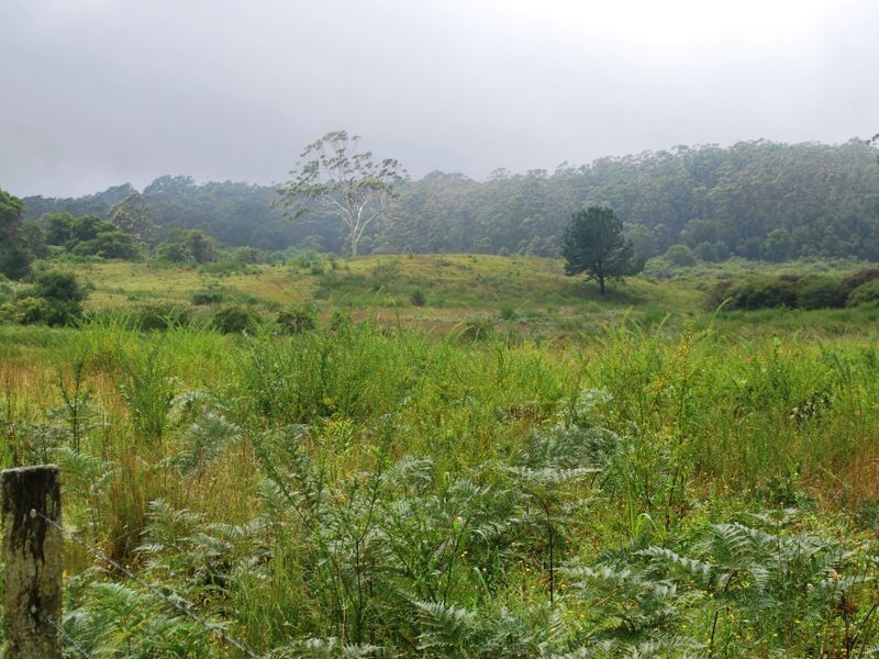 Lot 442/36 Gundarene Road, Lowanna NSW 2450