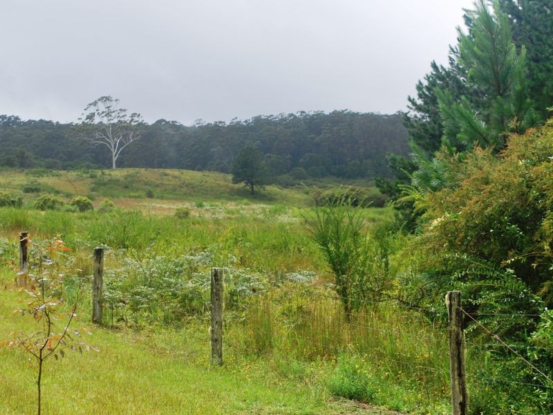 Lot 442/36 Gundarene Road, Lowanna NSW 2450