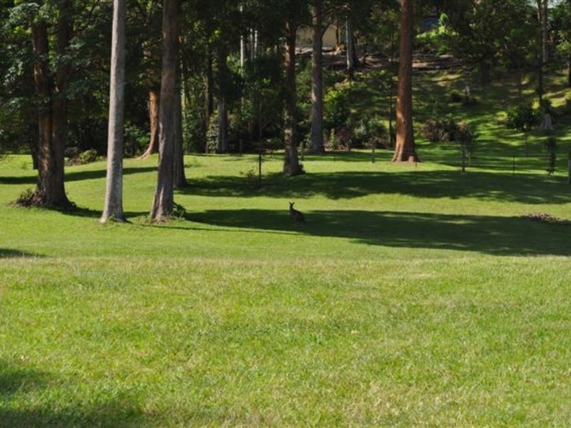 52 Palm Grove Place, Moonee Beach NSW 2450