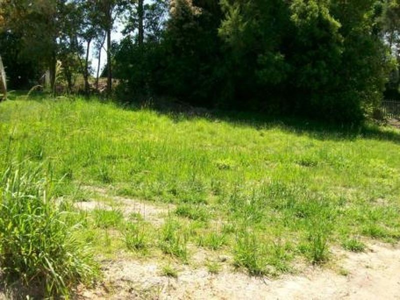 10 Red Gum Crescent, Bellingen NSW 2454