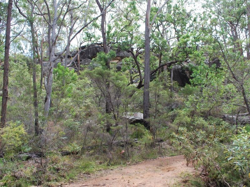 410 McGills Road, Alumy Creek NSW 2460