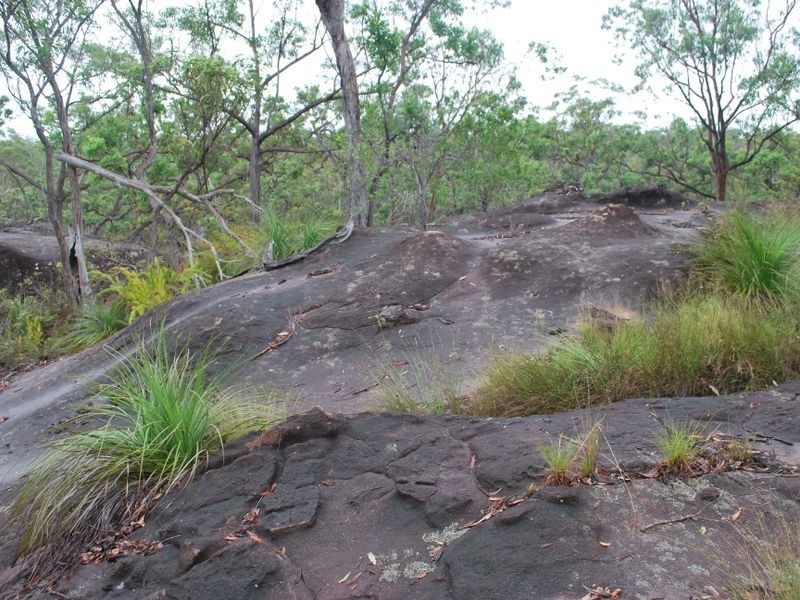 410 McGills Road, Alumy Creek NSW 2460