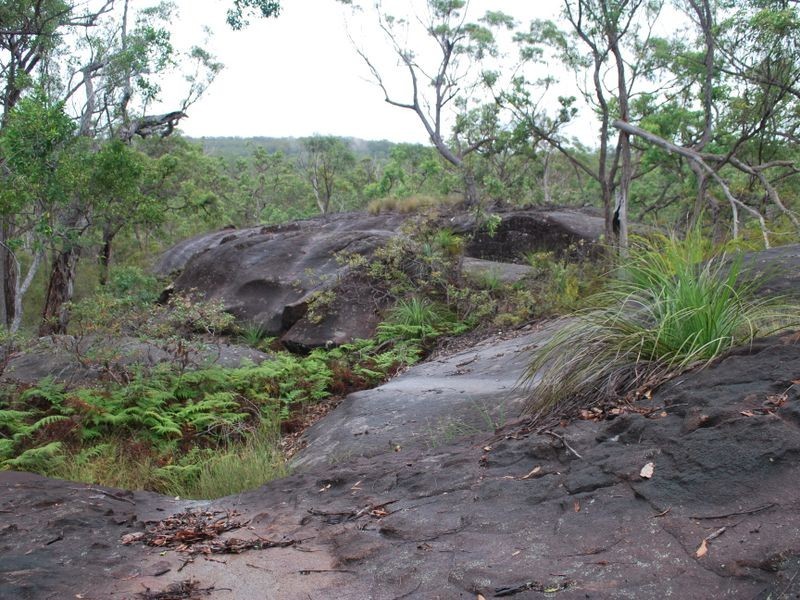 410 McGills Road, Alumy Creek NSW 2460