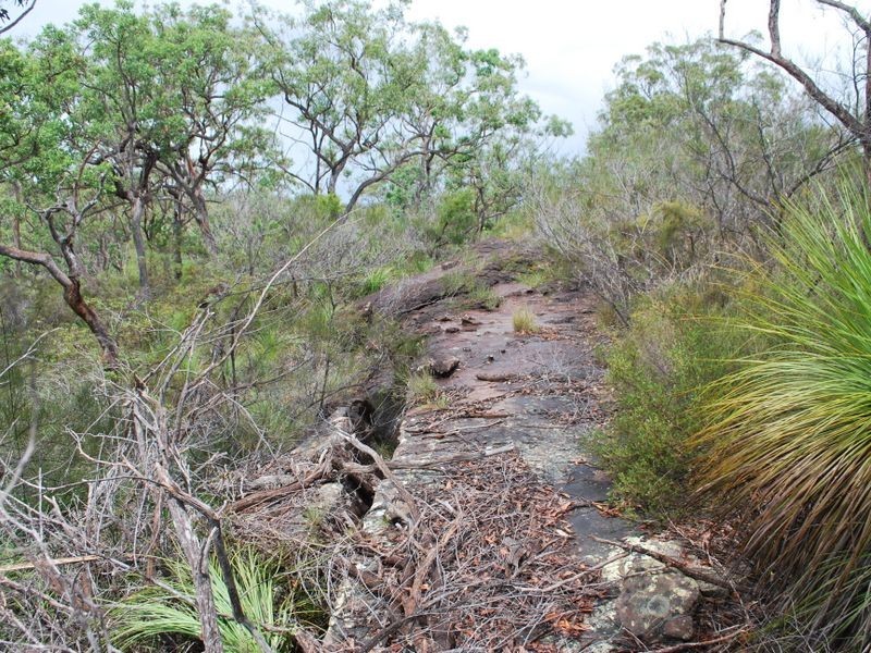 410 McGills Road, Alumy Creek NSW 2460