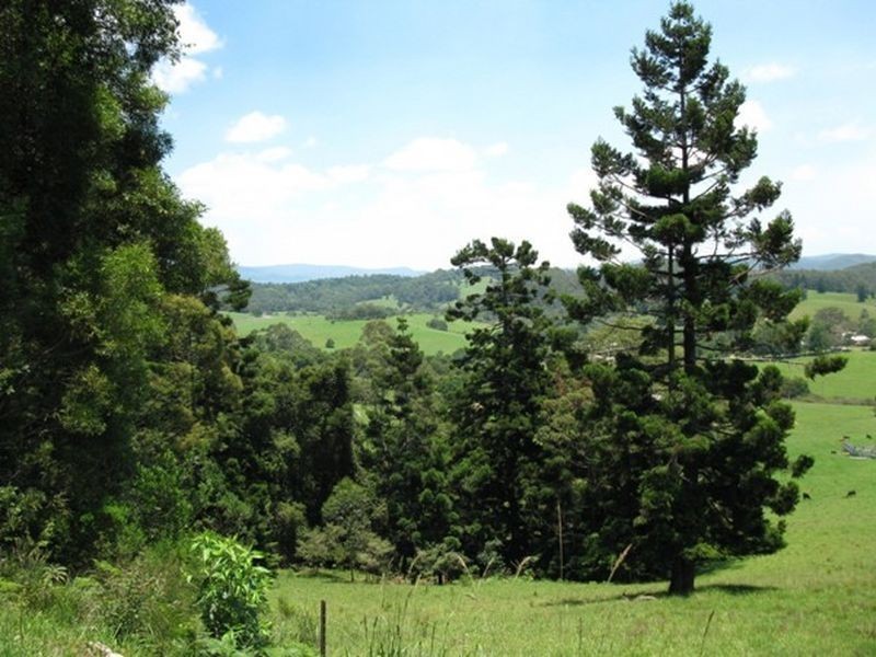 Lot 11 Hutchinson Street, Ulong NSW 2450