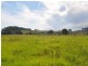 325 Upper Warrell Creek Road, Macksville NSW 2447