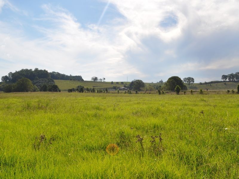 325 Upper Warrell Creek Road, Macksville NSW 2447