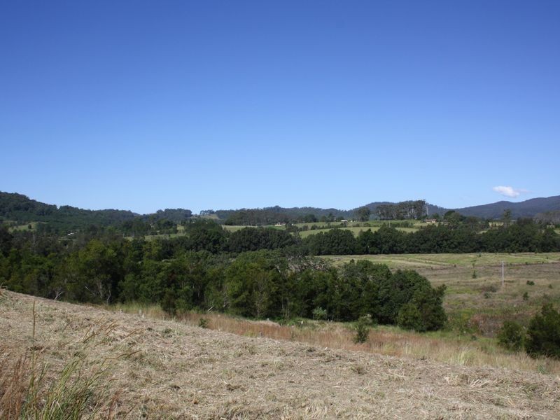 325 Upper Warrell Creek Road, Macksville NSW 2447