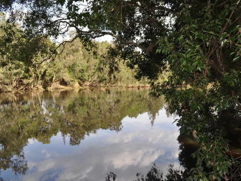 325 Upper Warrell Creek Road, Macksville NSW 2447