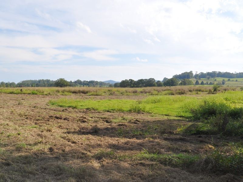 325 Upper Warrell Creek Road, Macksville NSW 2447