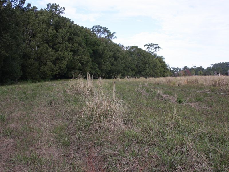 325 Upper Warrell Creek Road, Macksville NSW 2447