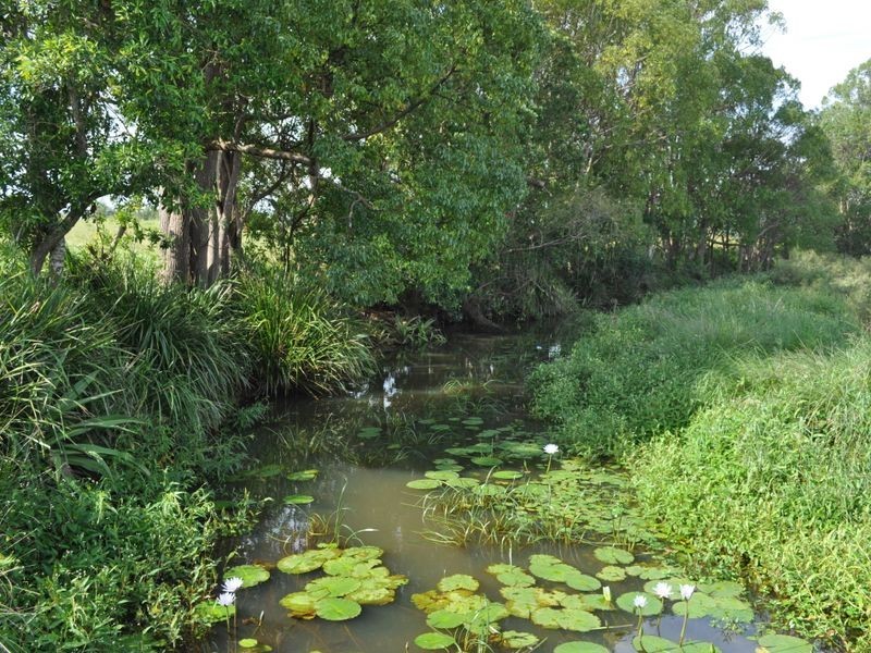 325 Upper Warrell Creek Road, Macksville NSW 2447