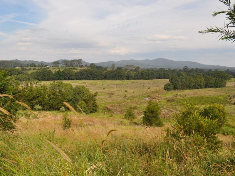 325 Upper Warrell Creek Road, Macksville NSW 2447