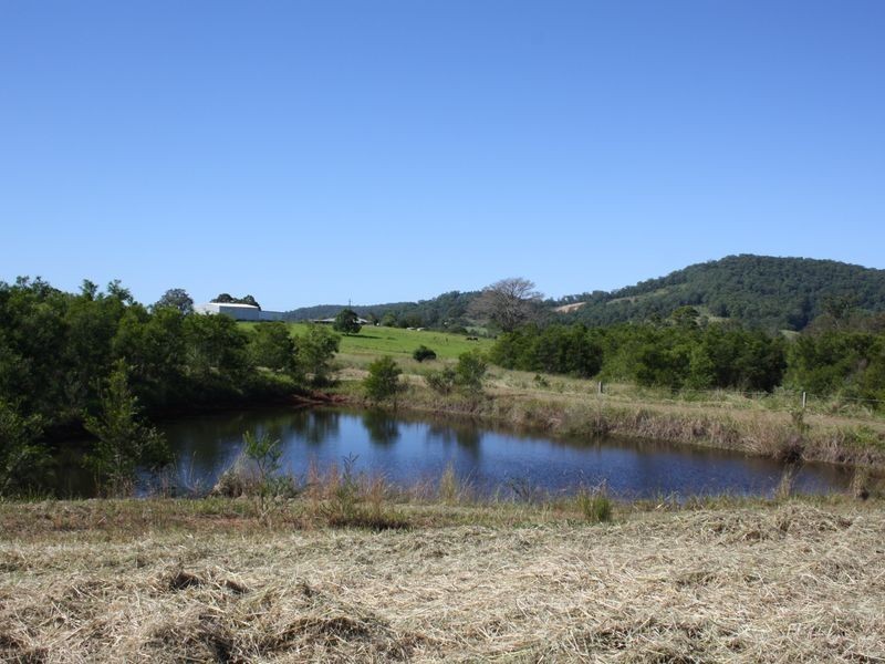 325 Upper Warrell Creek Road, Macksville NSW 2447