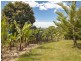 79 Maccues Road, Moonee Beach NSW 2450