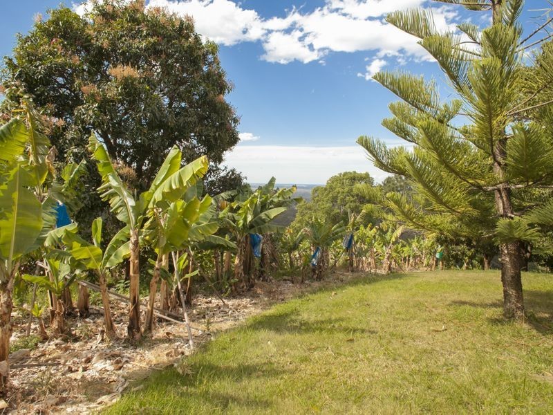 79 Maccues Road, Moonee Beach NSW 2450